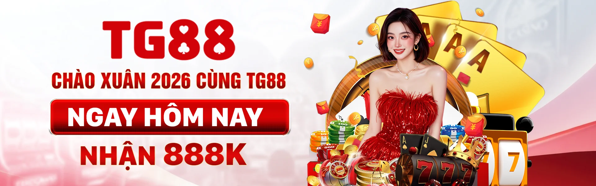 Banner TG88
