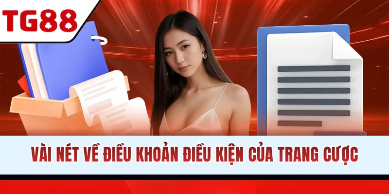 Vài nét về điều khoản điều kiện của trang cược