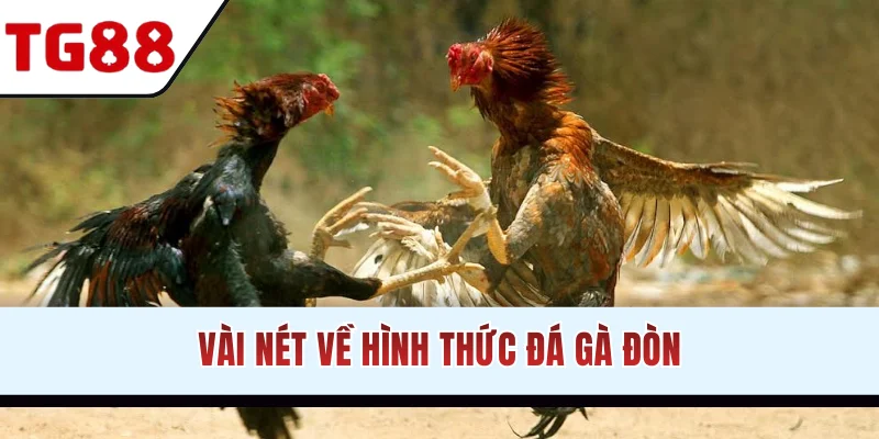 Vài nét về hình thức đá gà đòn